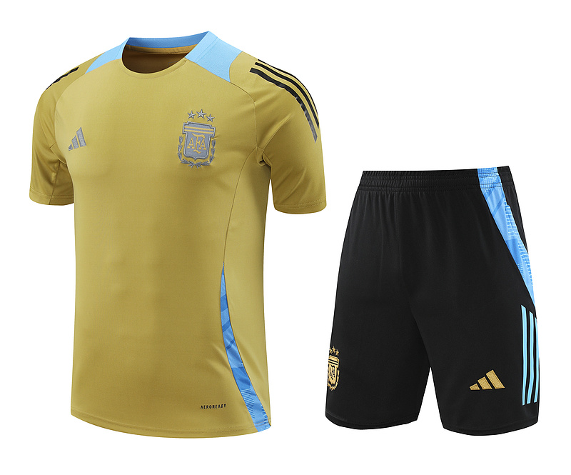 AAA Quality Argentina 24/25 Golden Training Kit Jerseys